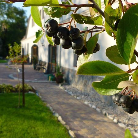 Aronia Park Villa Lubiechowa Exterior photo