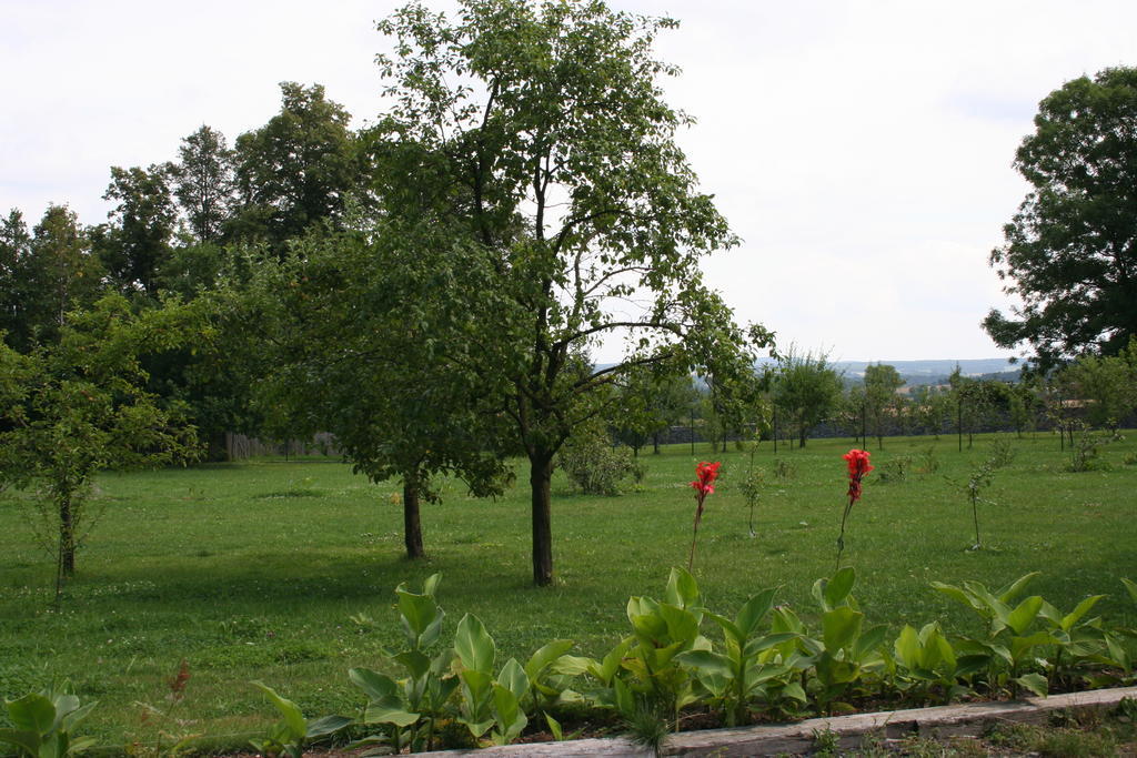 Aronia Park Villa Lubiechowa Exterior photo